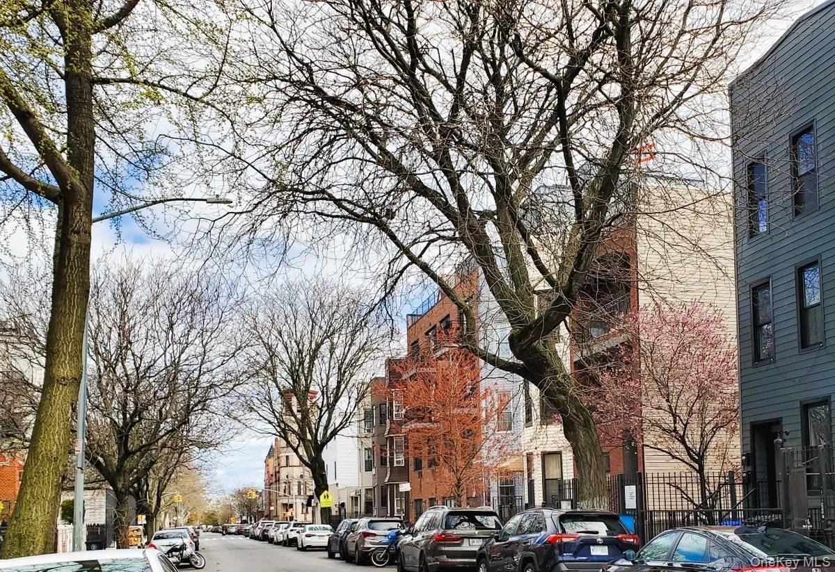964 Madison Street, Brooklyn, NY 11221