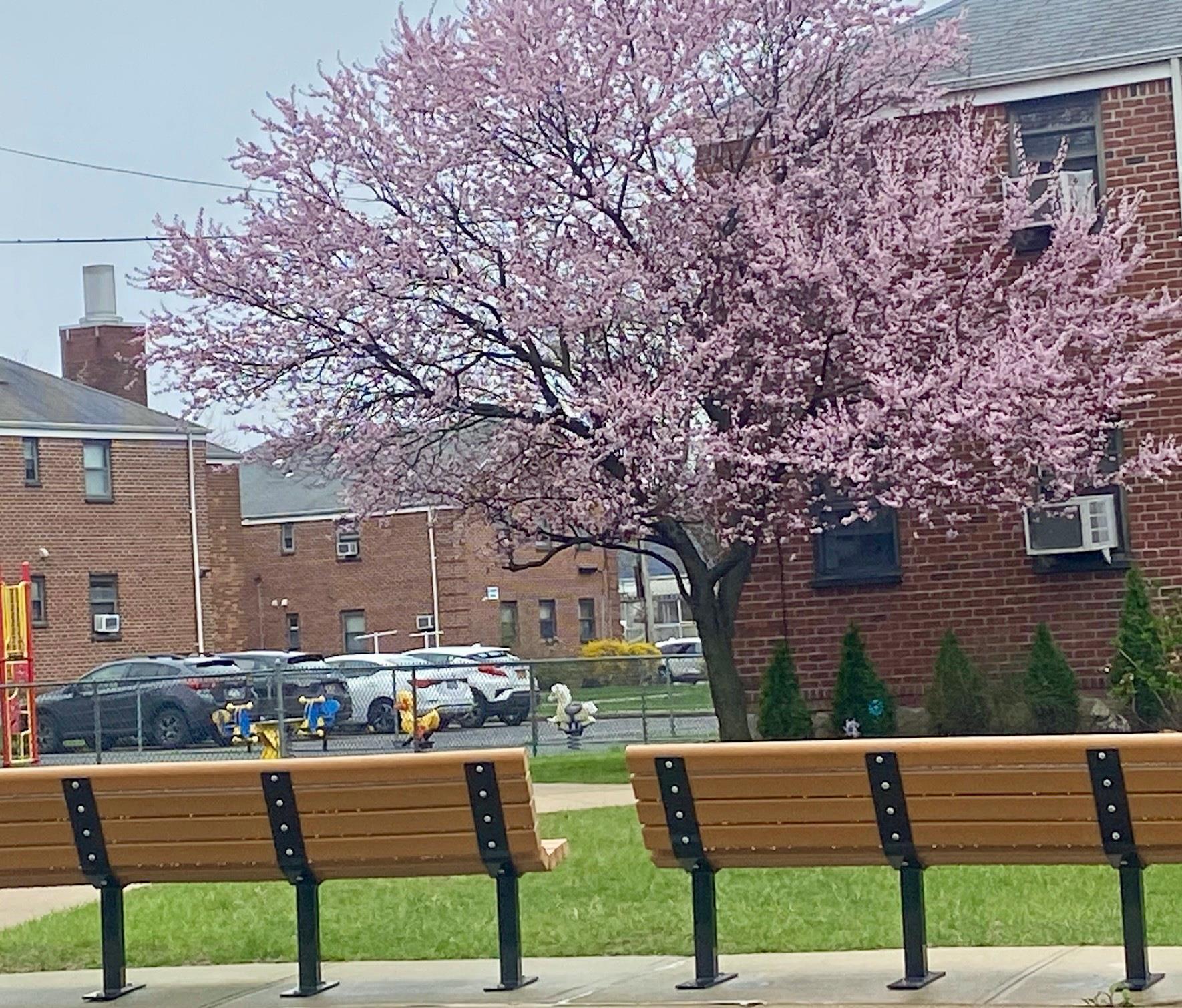 166-30 17th Road # 3-106, Whitestone, NY 11357