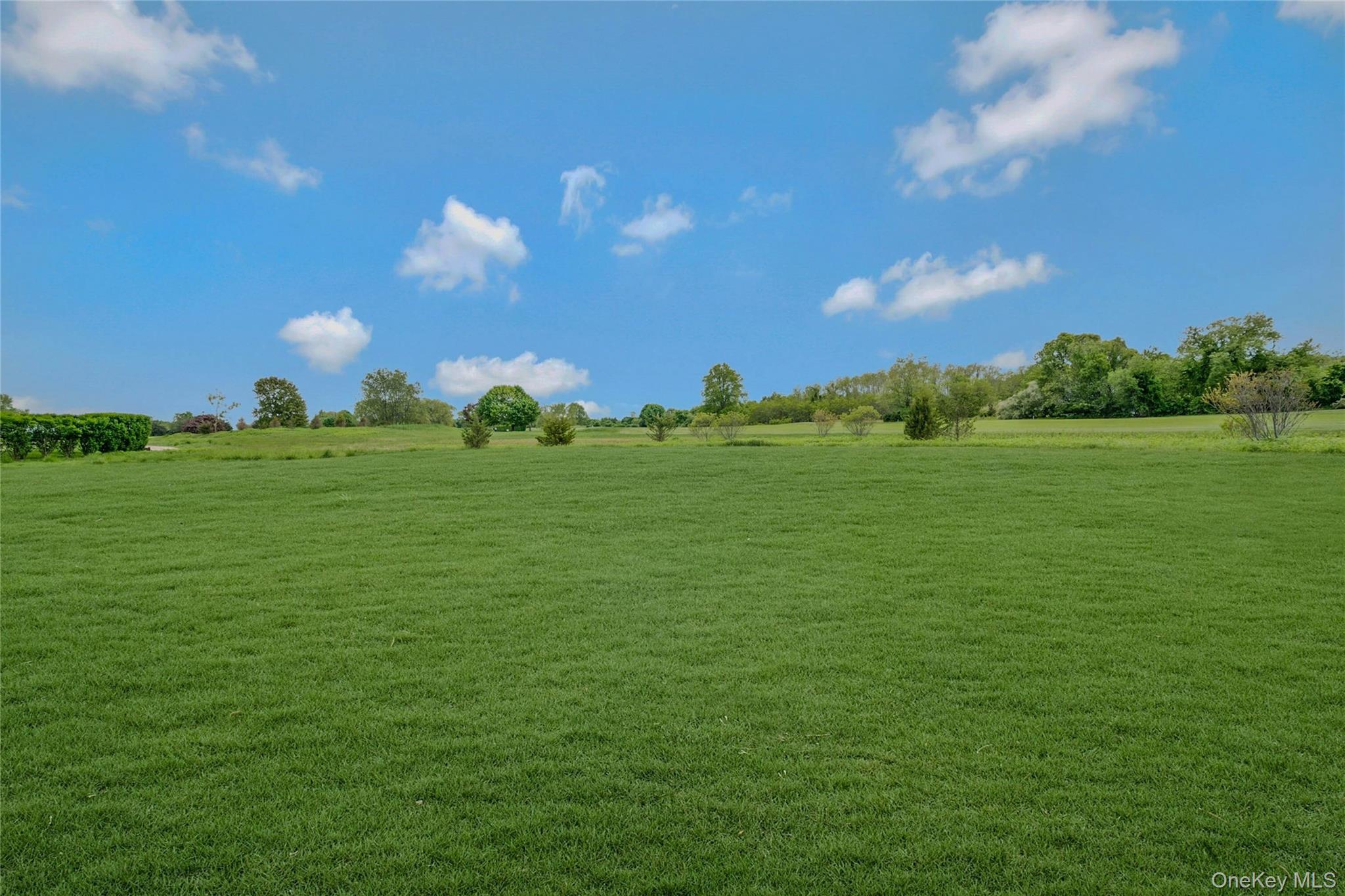 2300 Fox Hill Drive # 1101, Baiting Hollow, NY 11933