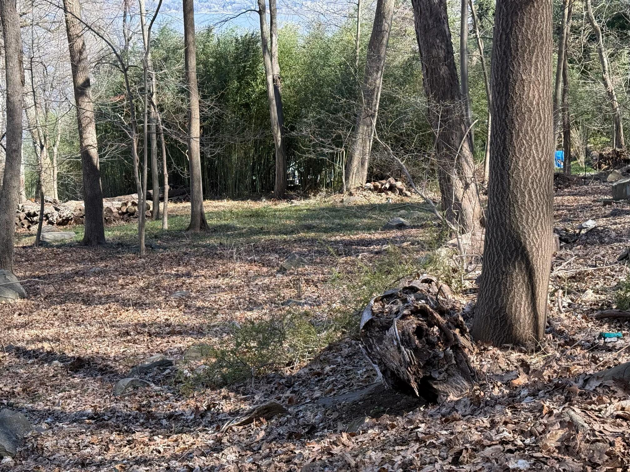 938 Route 9W S, Nyack, NY 10960