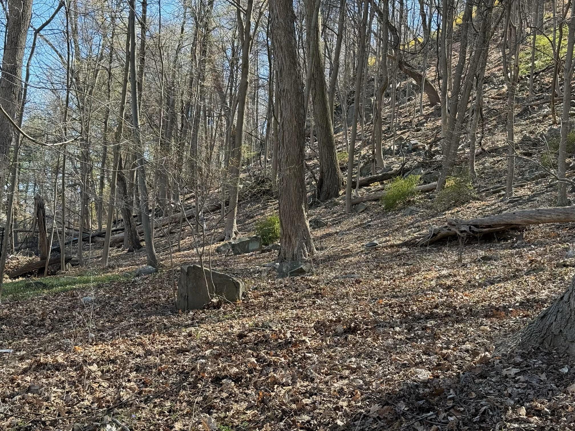 938 Route 9W S, Nyack, NY 10960