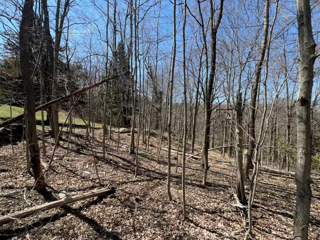 0 taghkanic, Elizaville, NY