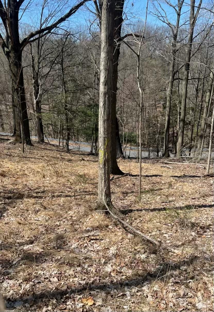 0 taghkanic, Elizaville, NY