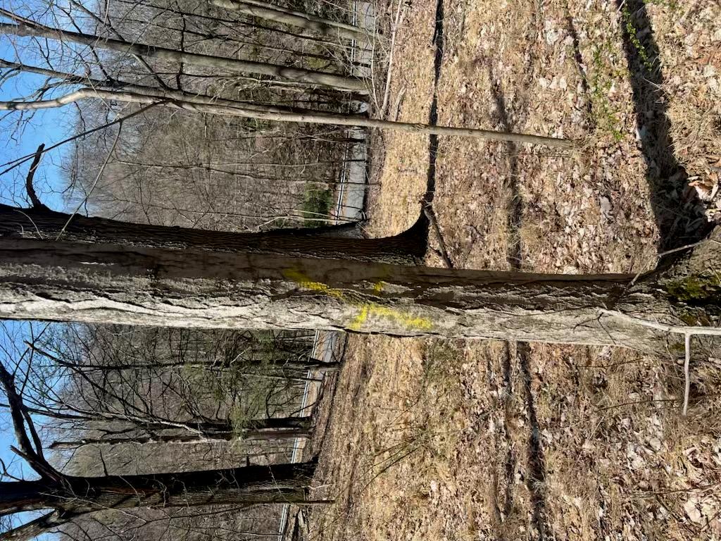 0 taghkanic, Elizaville, NY