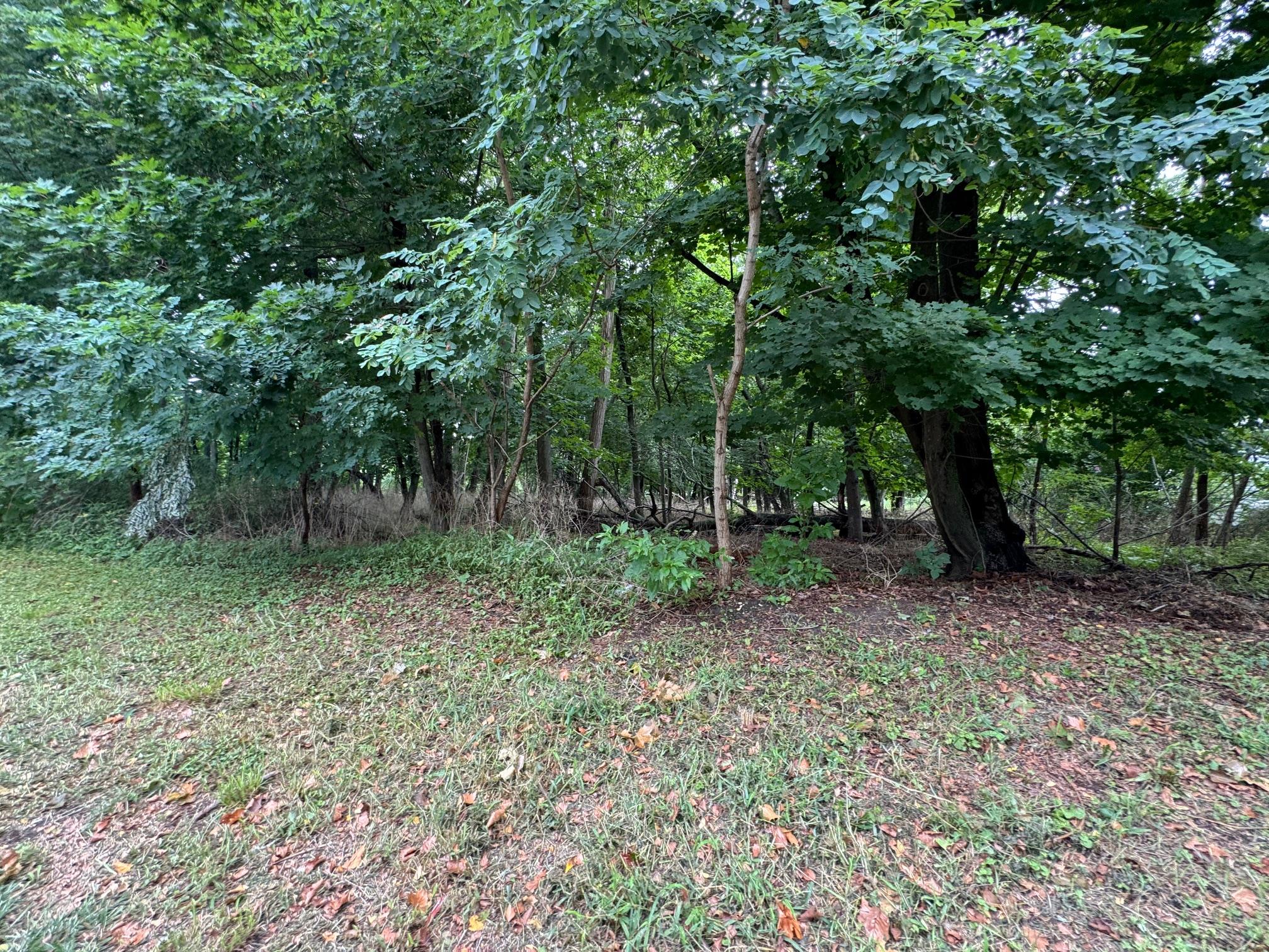 34100 Route 25, Cutchogue, NY 11935