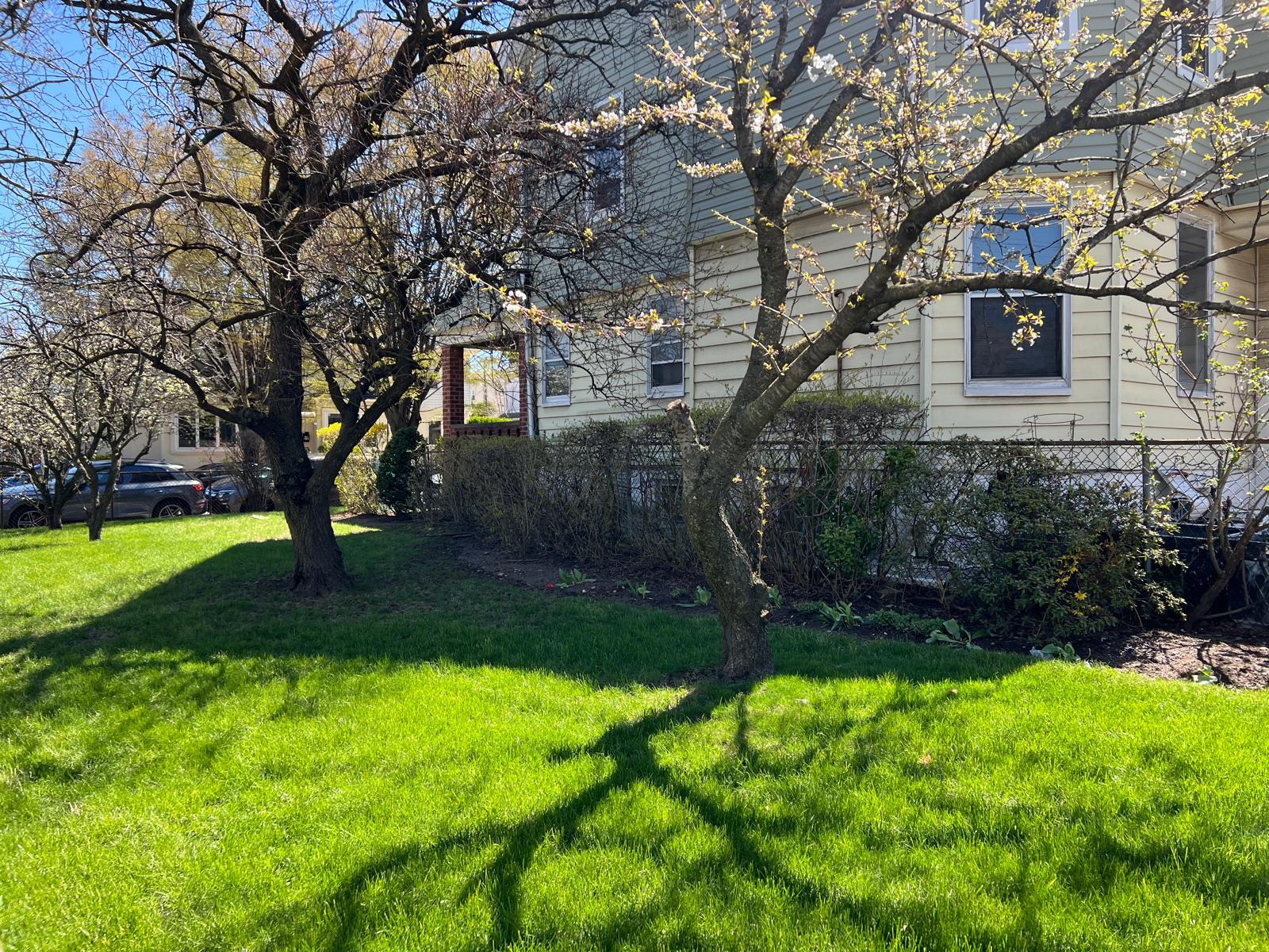 1006 E 31st Street, Brooklyn, NY 11210