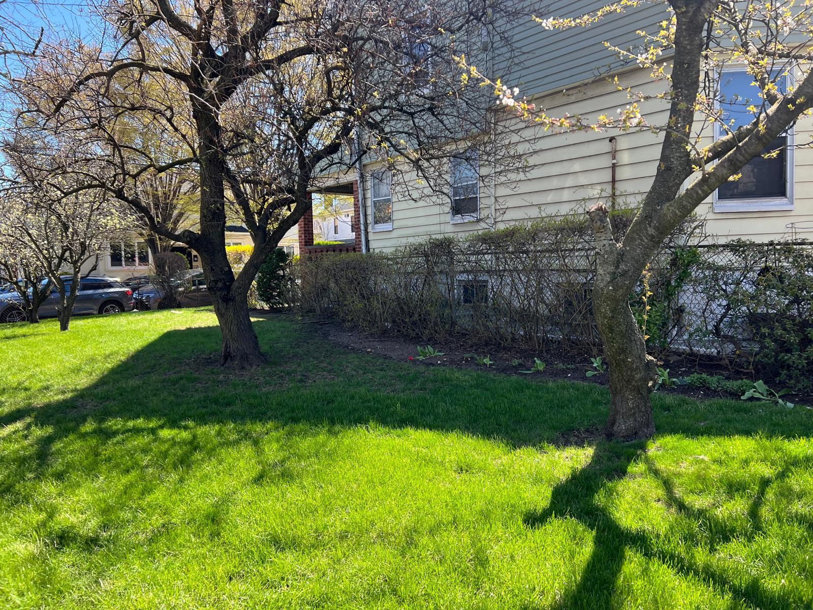 1006 E 31st Street, Brooklyn, NY 11210