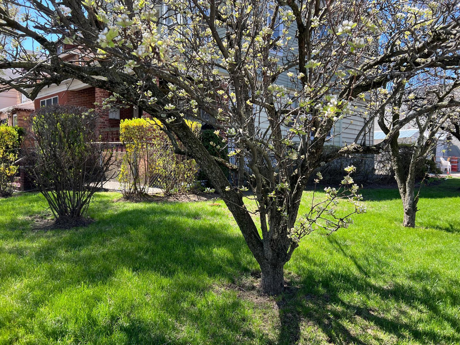 1006 E 31st Street, Brooklyn, NY 11210