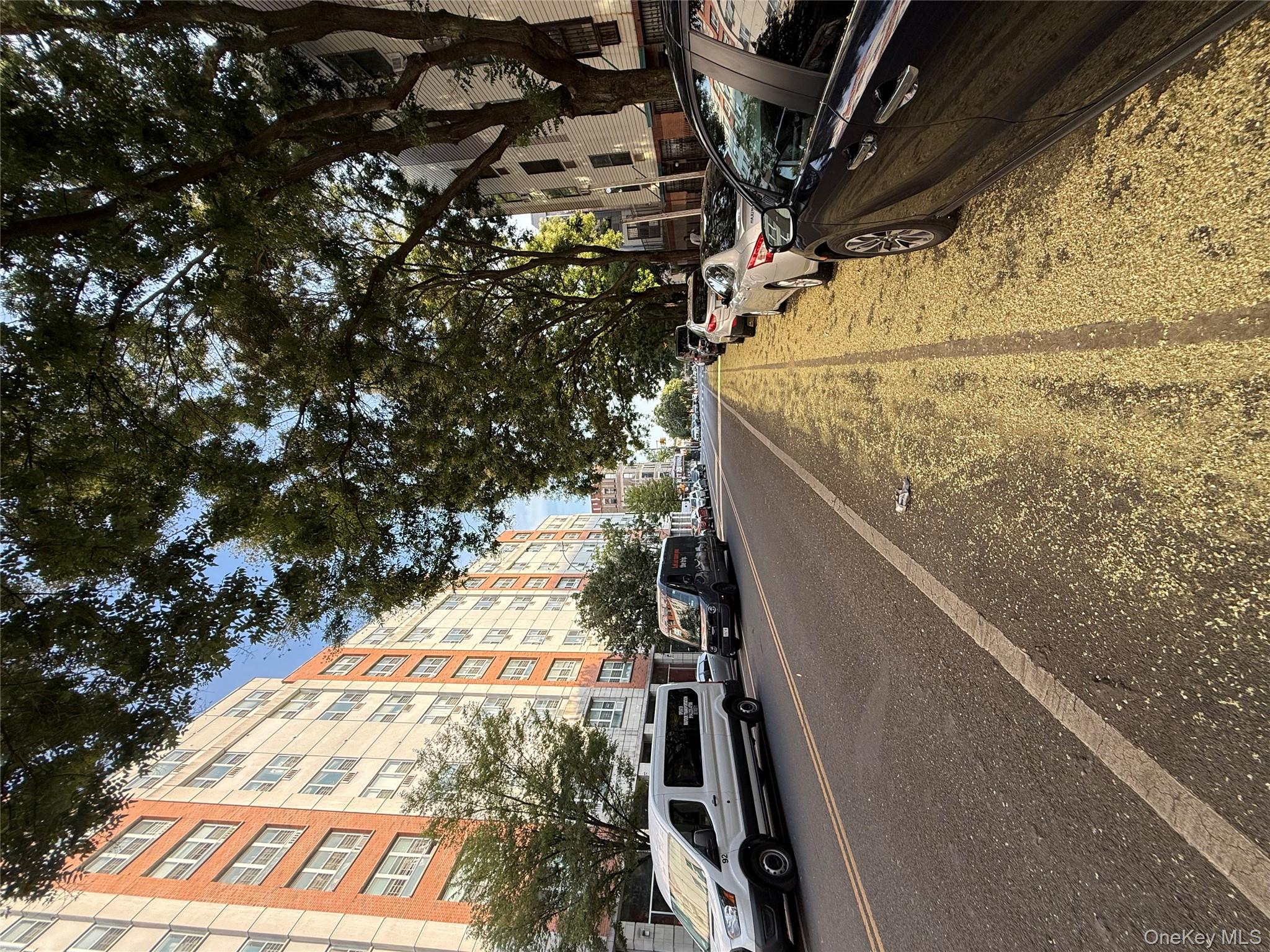 769 Saint Anns Avenue # B, Bronx, NY 10456