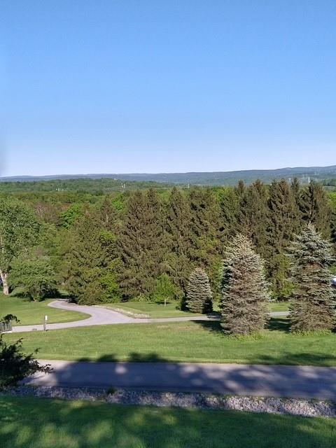 Harley Tucker Hill, Poughkeepsie, NY