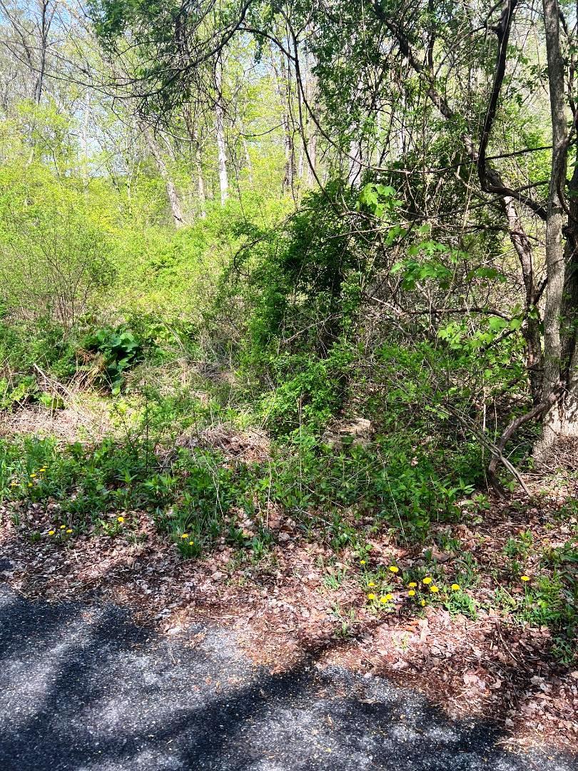 Lot 73 Brookside Road, Putnam Valley, NY 10579