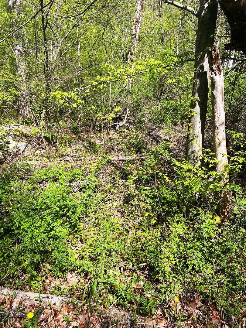 Lot 73 Brookside Road, Putnam Valley, NY 10579