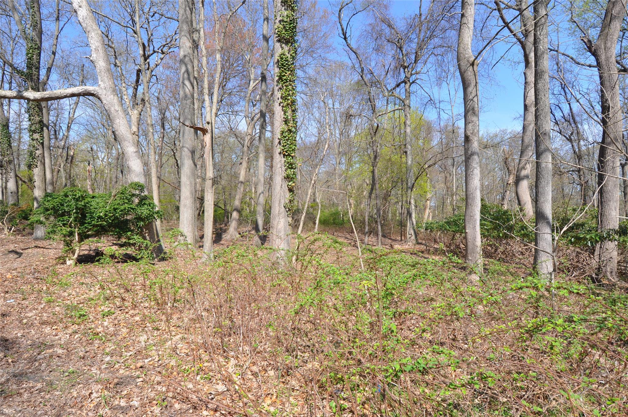 adj #252 Moriches Road, Head Of The Harbor, NY 11780