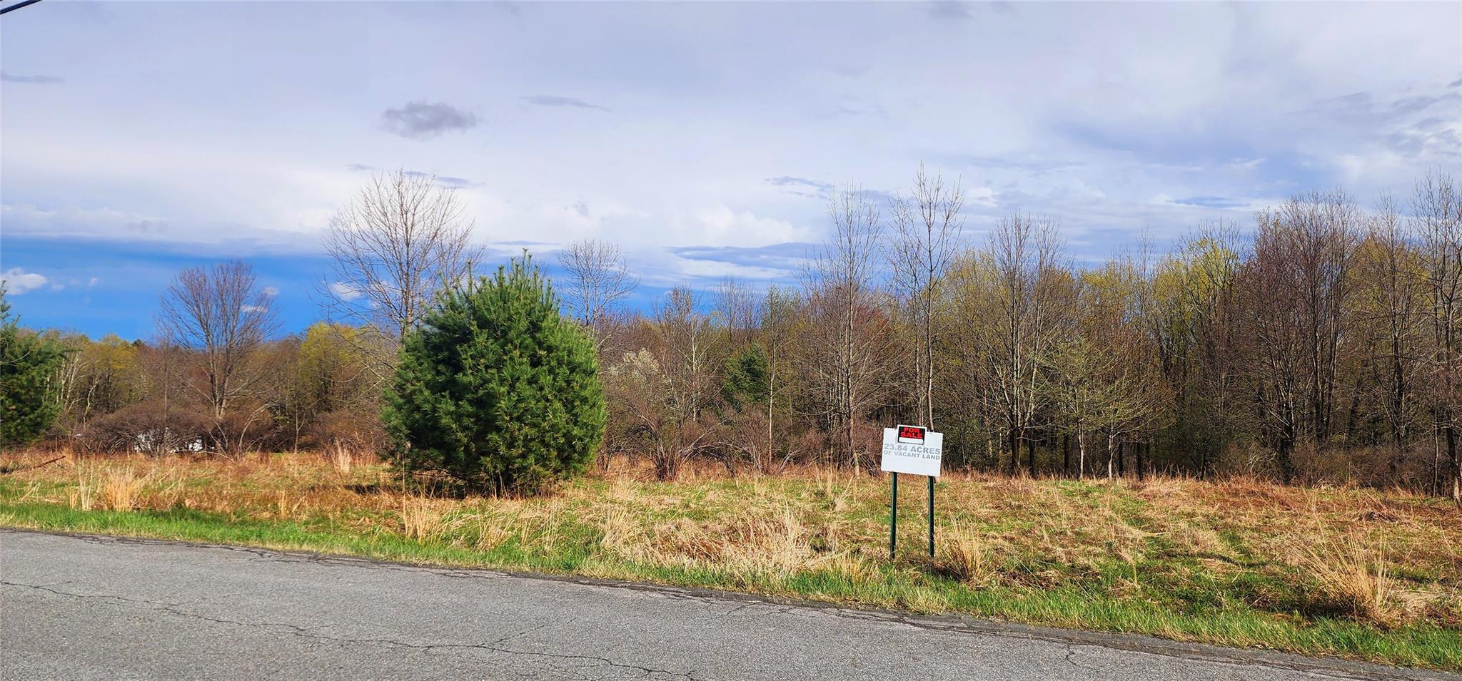 Budd Road, Woodbourne, NY 12788