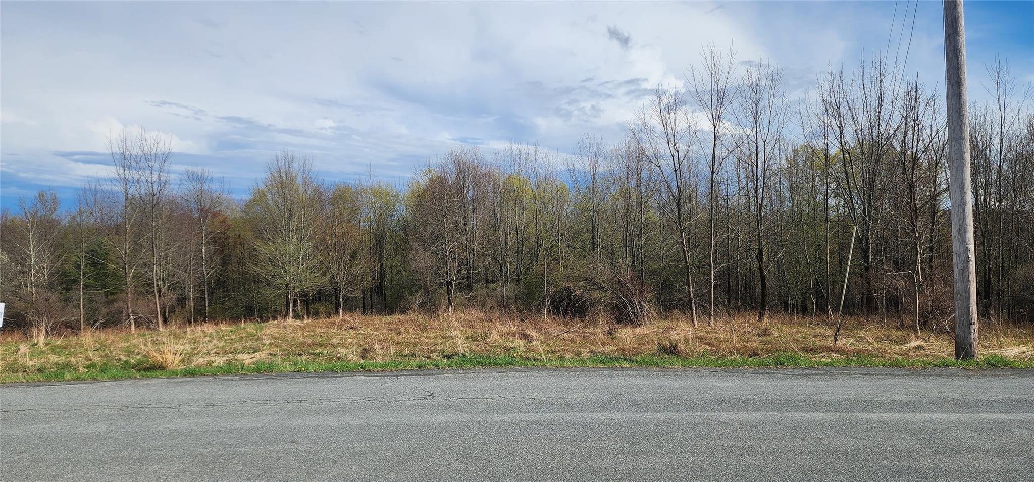 Budd Road, Woodbourne, NY 12788