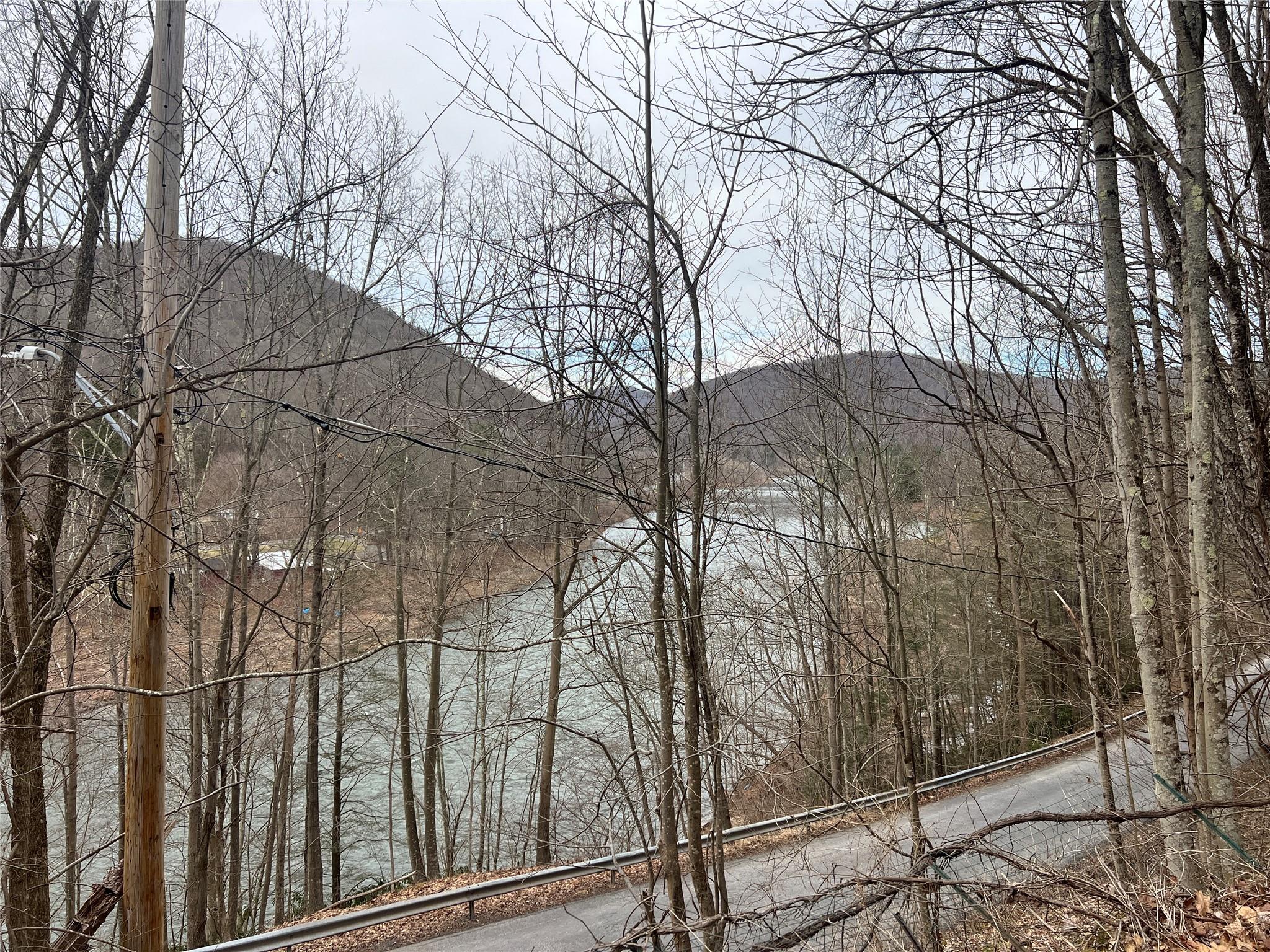 322 Peas Eddy Road, Hancock, NY 13783