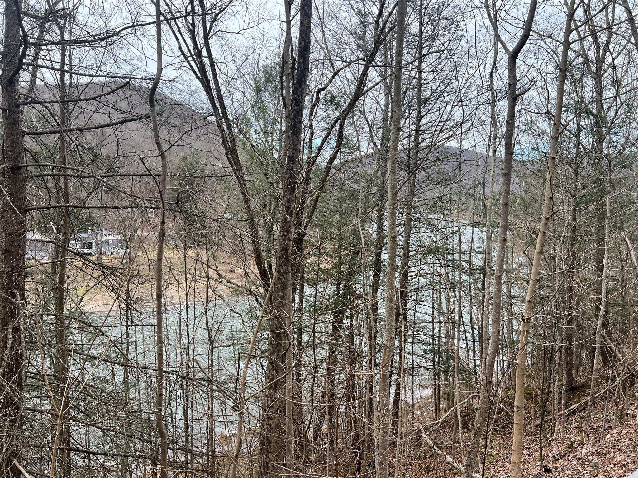 322 Peas Eddy Road, Hancock, NY 13783