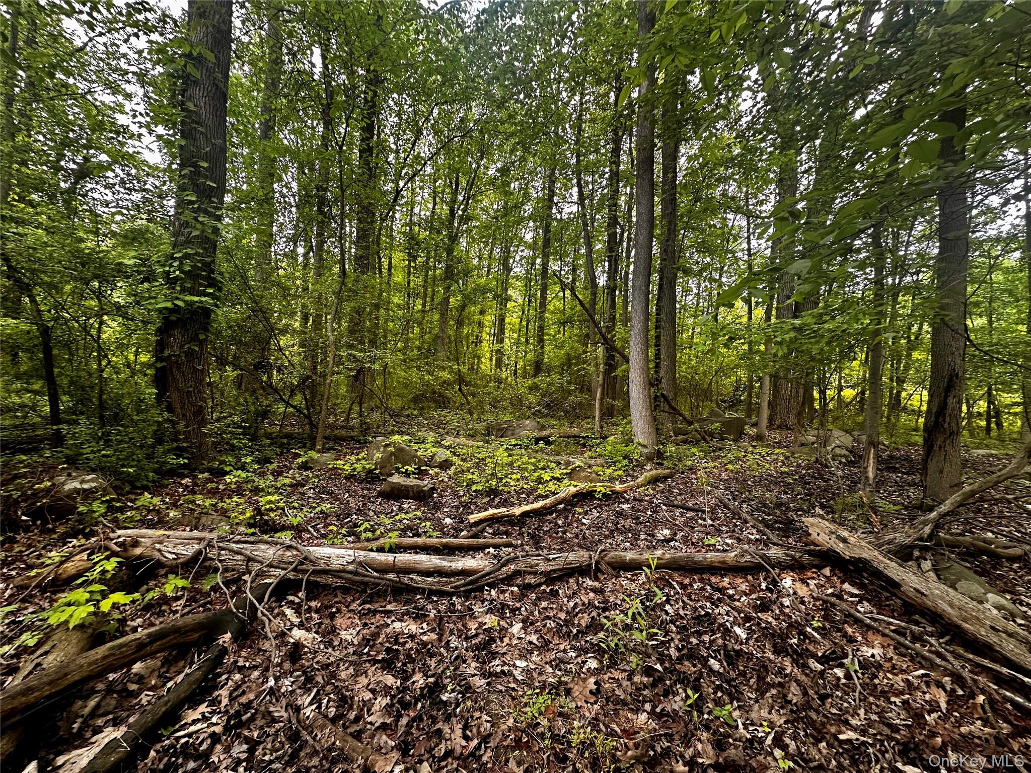 28 Ludlow Lane, Palisades, NY 10964