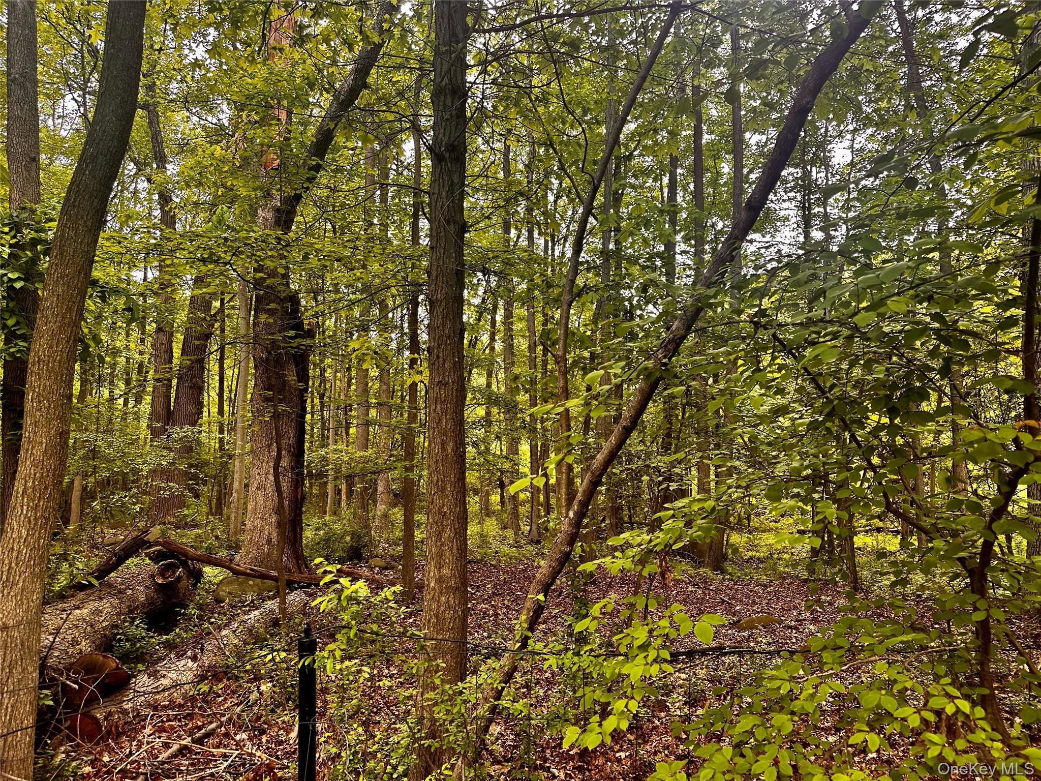 28 Ludlow Lane, Palisades, NY 10964