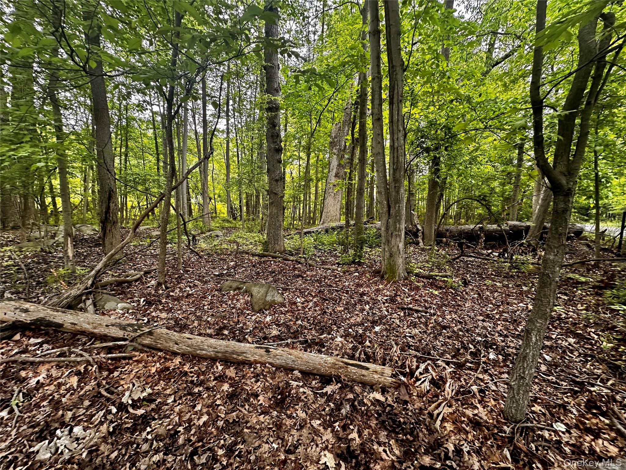 28 Ludlow Lane, Palisades, NY 10964