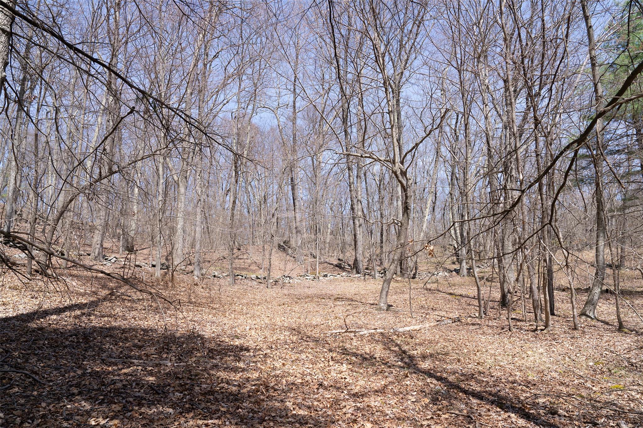 TBD Olsen Road, Red Hook, NY 12572