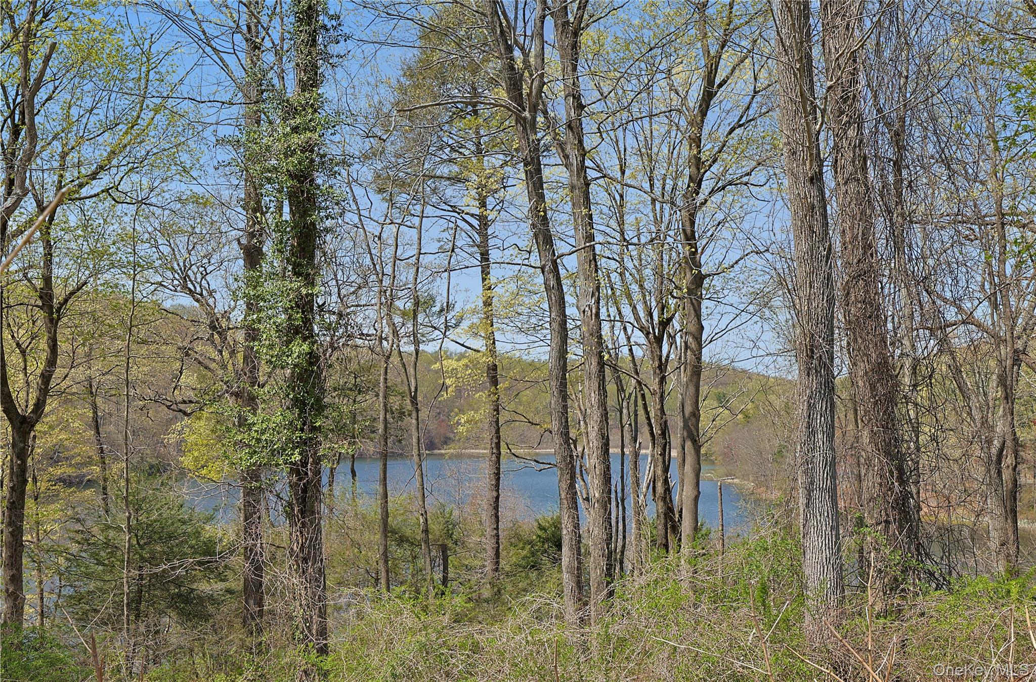 4-6 Wampus Lake Wampus Lake Drive, Armonk, NY 10504