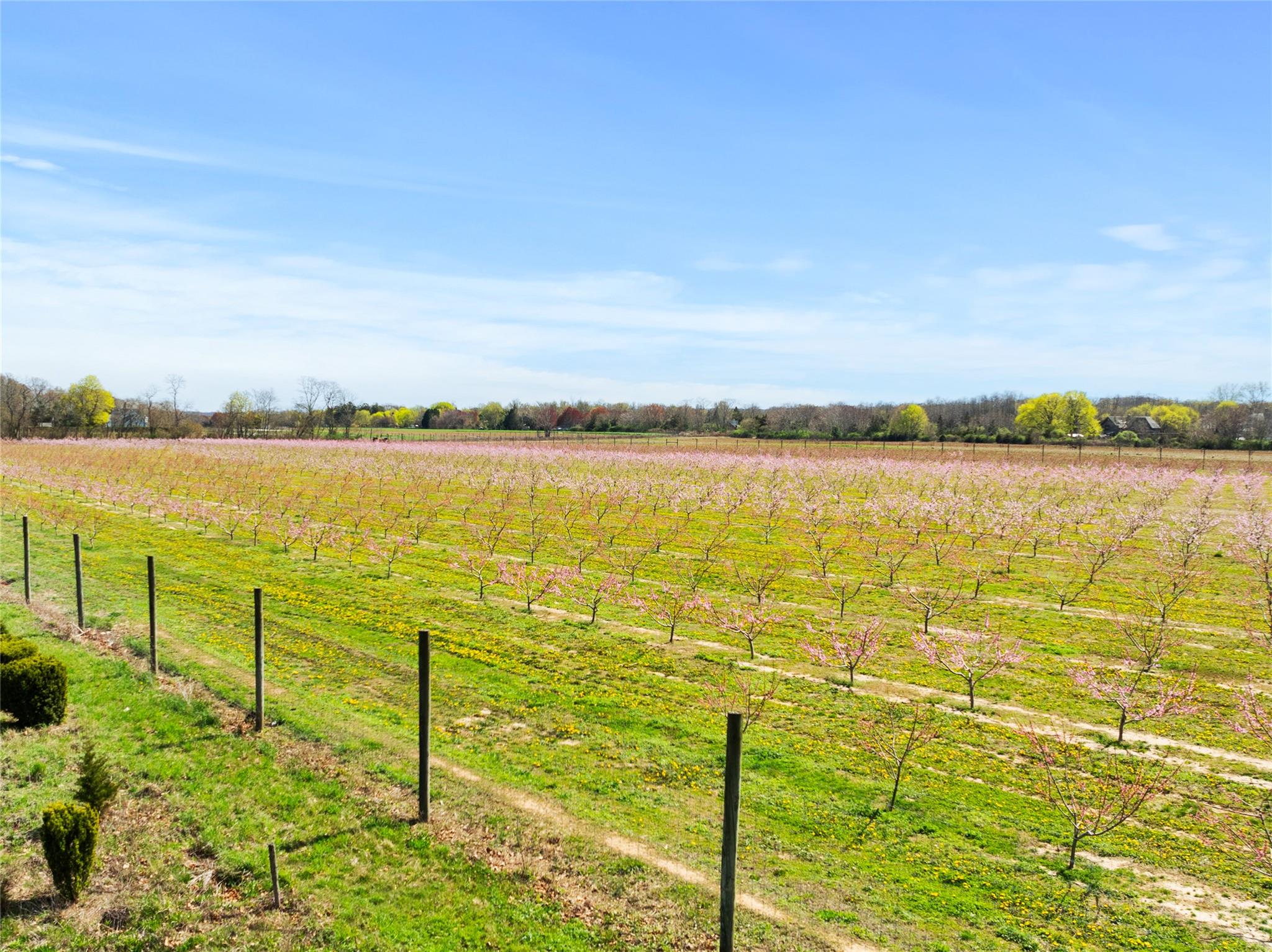 1705 & 1709 Main Road, Jamesport, NY 11947