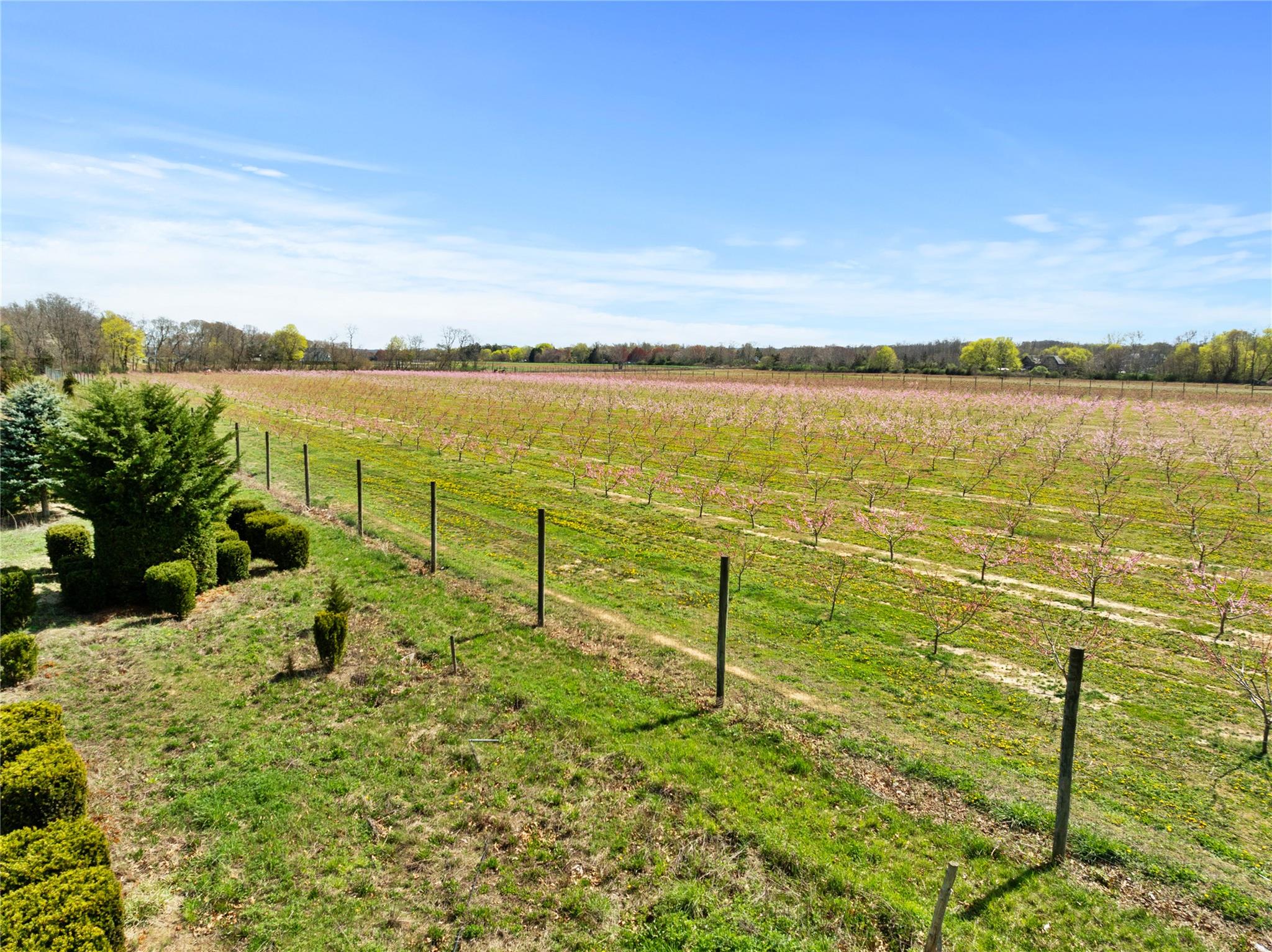 1705 & 1709 Main Road, Jamesport, NY 11947