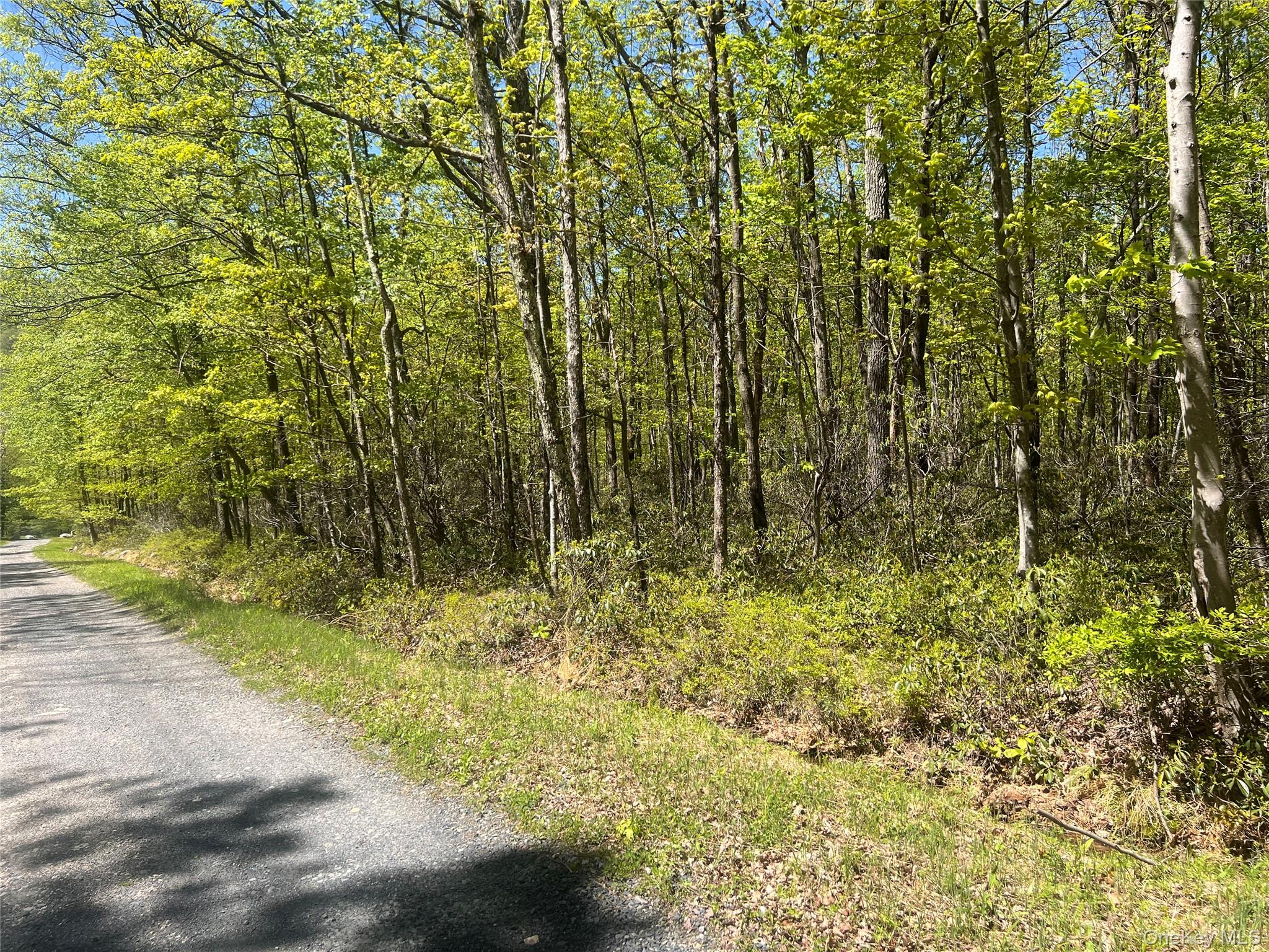 Schneller Lane, Pine Bush, NY 12566