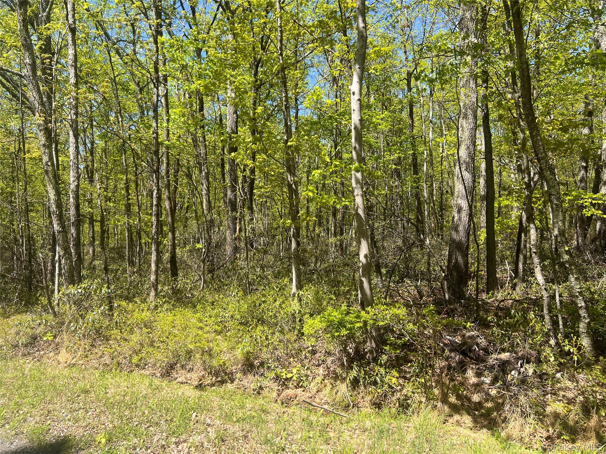 Schneller Lane, Pine Bush, NY 12566