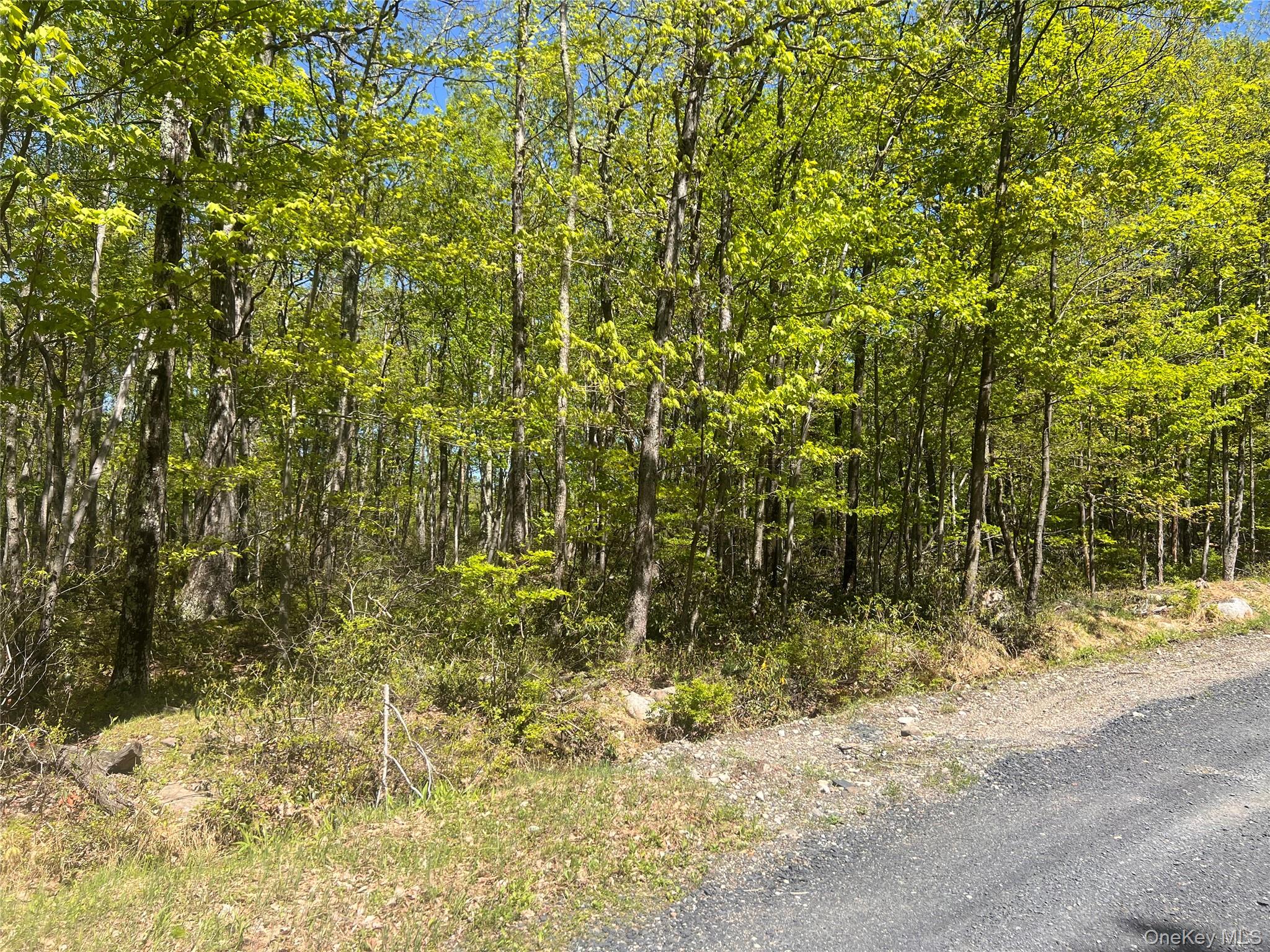 Schneller Lane, Pine Bush, NY 12566