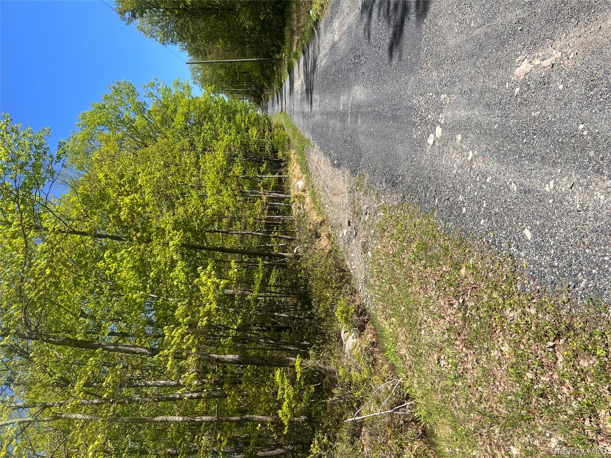 Schneller Lane, Pine Bush, NY 12566