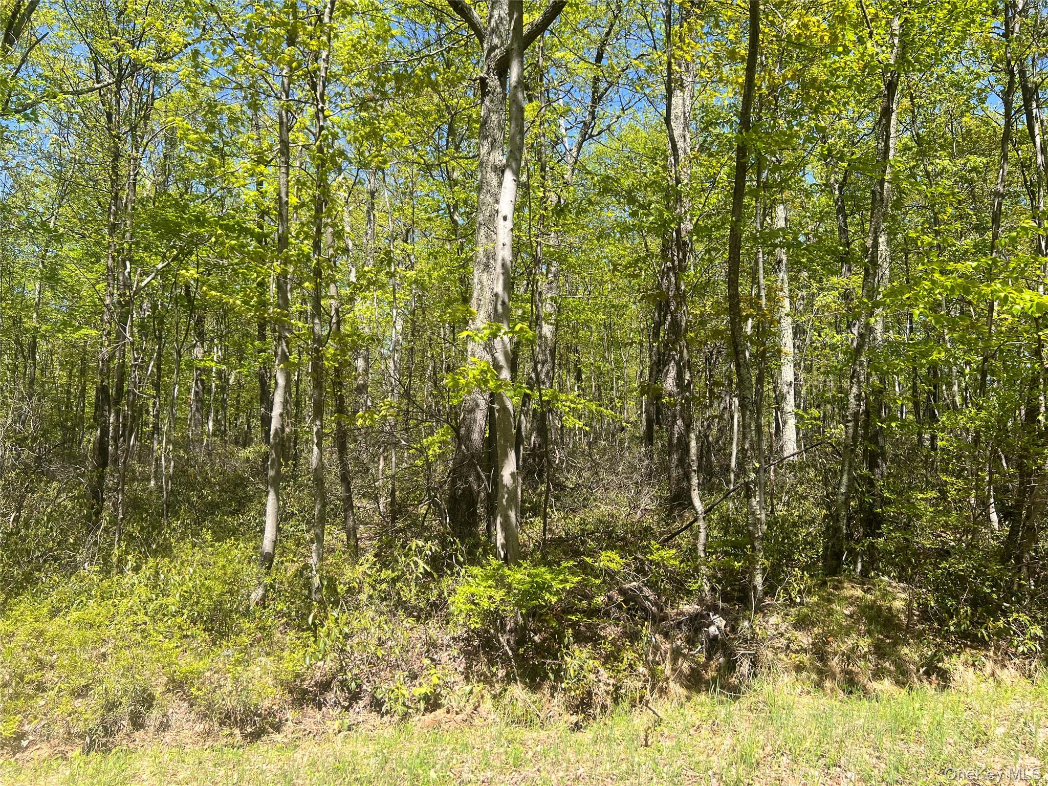 Schneller Lane, Pine Bush, NY 12566