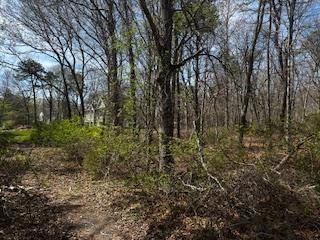 VL Lambert Avenue, Mastic, NY 11950