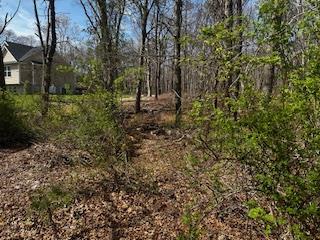 VL Lambert Avenue, Mastic, NY 11950