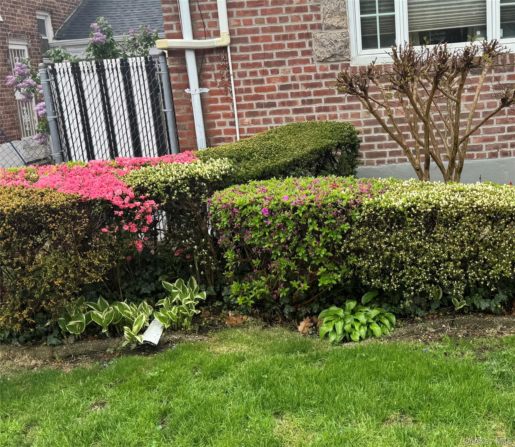 111-54 178th Place, Addisleigh Park, NY 11433