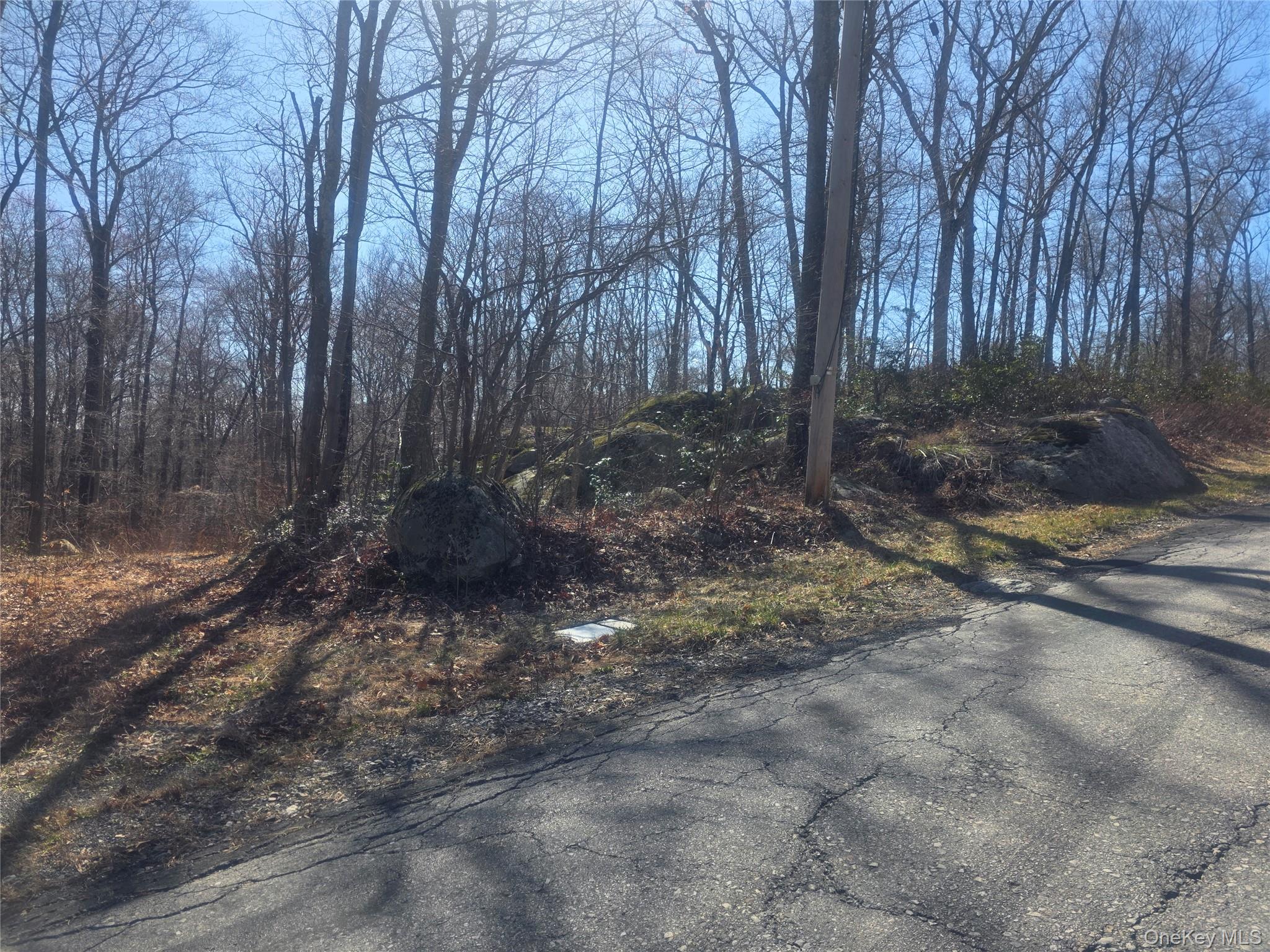 South Road, Holmes, NY 12531