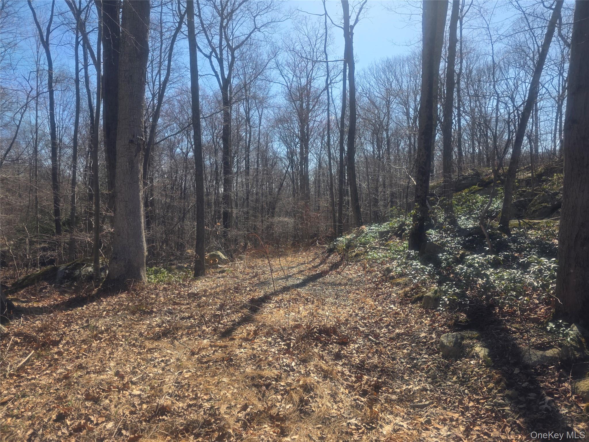 South Road, Holmes, NY 12531