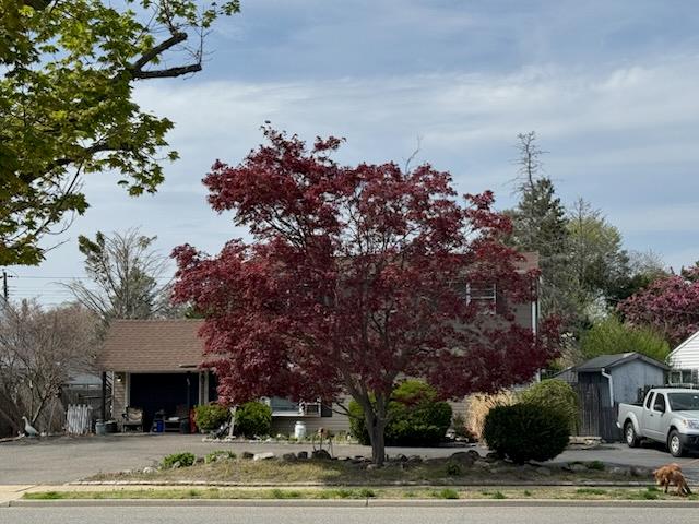 82 Scooter Lane, Hicksville, NY 11801