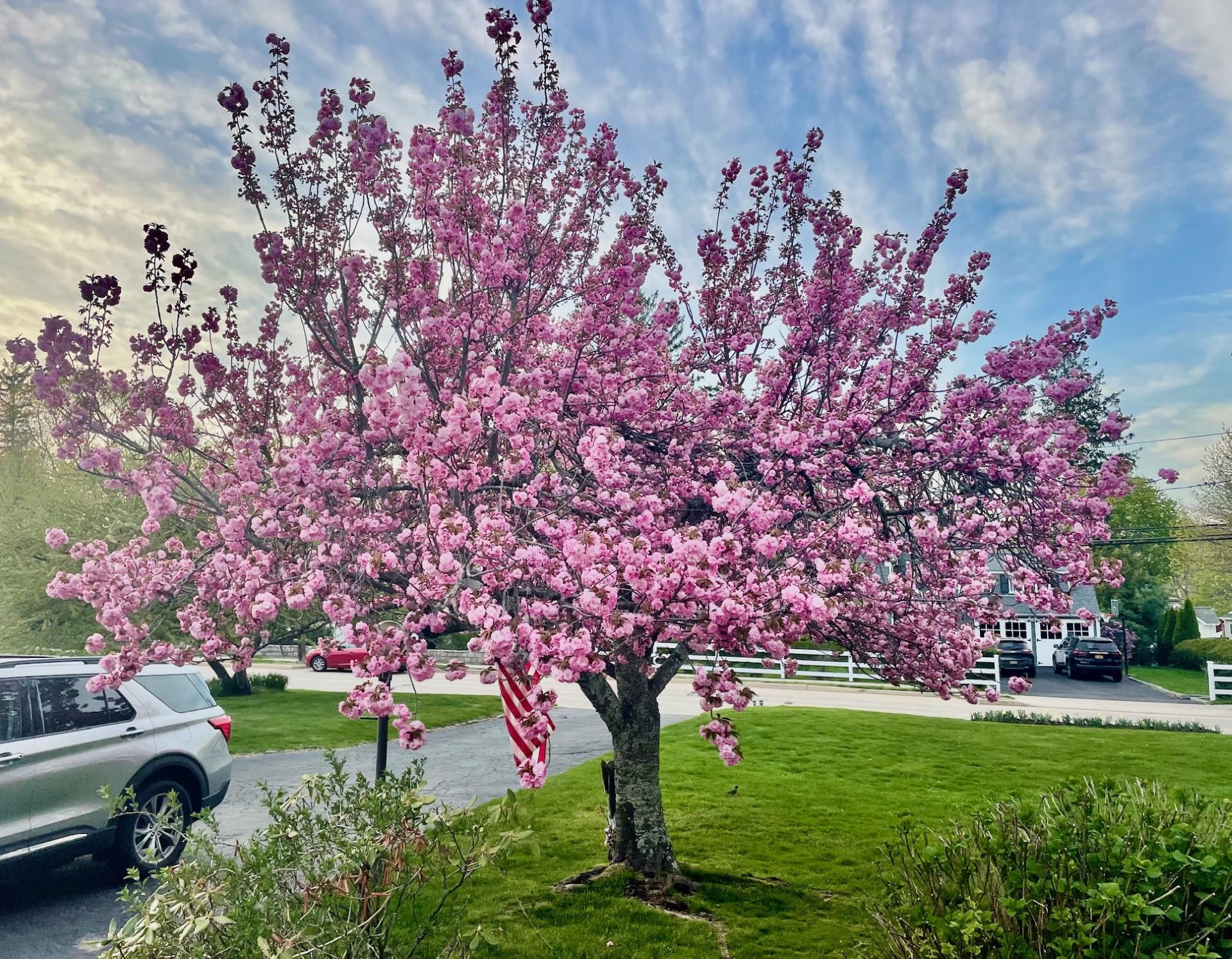 330 Scudder Avenue, Northport, NY 11768