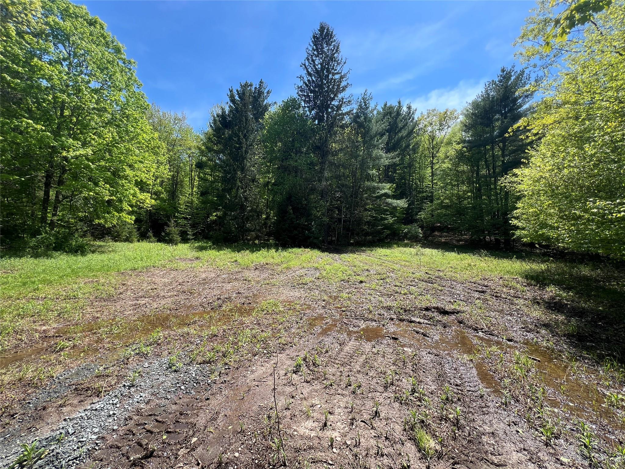 44 Oak Ridge Road, Greenfield Park, NY 12435