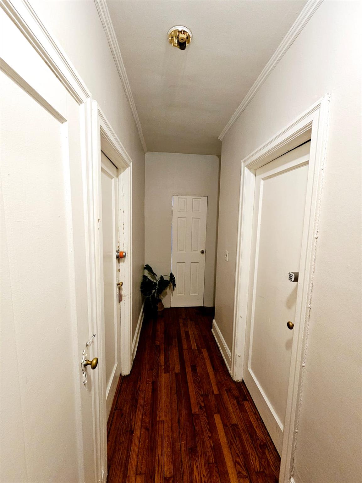 750 Troy Avenue, Brooklyn, NY 11203