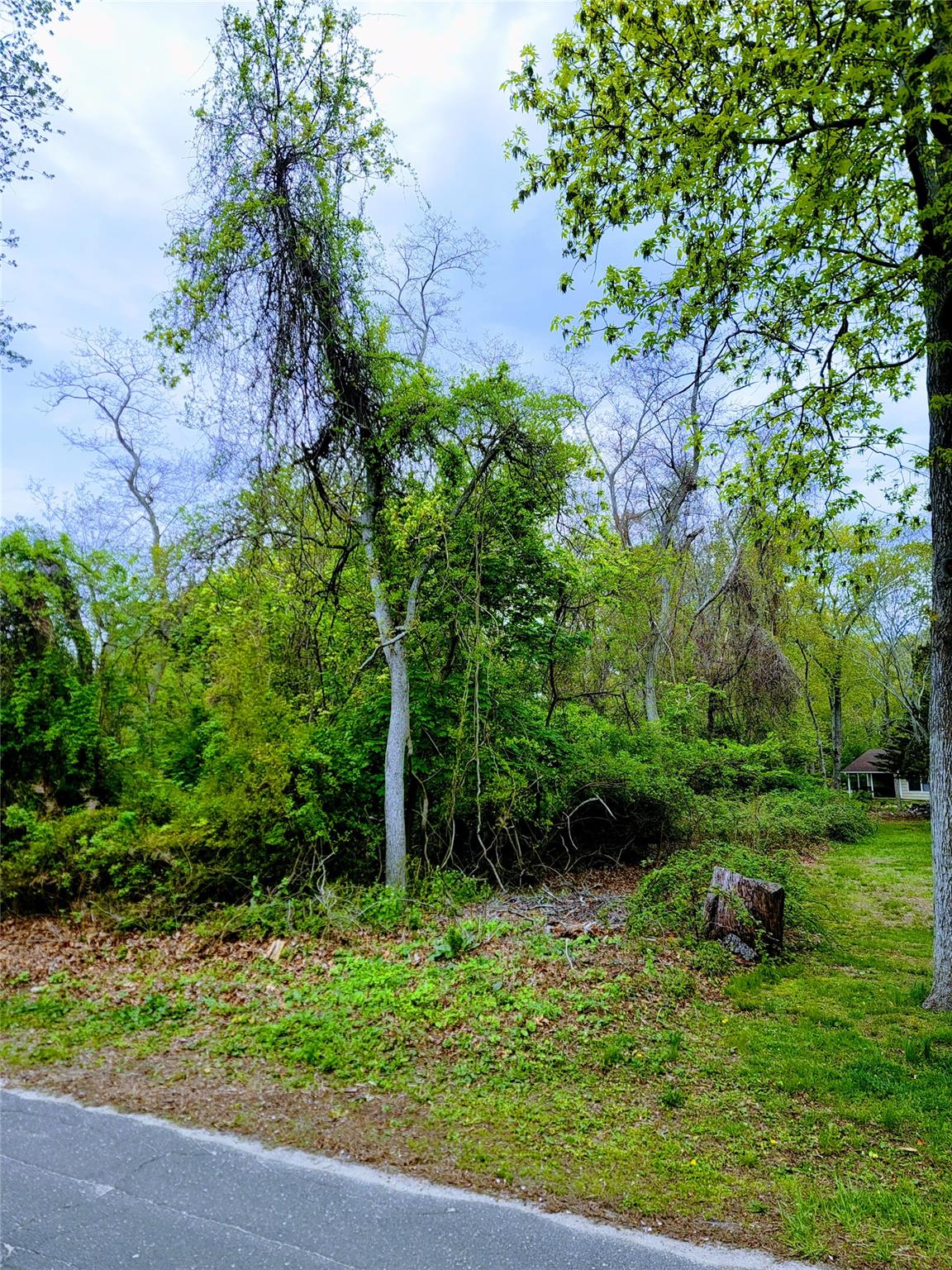 675 Pine Tree Road, Cutchogue, NY 11935