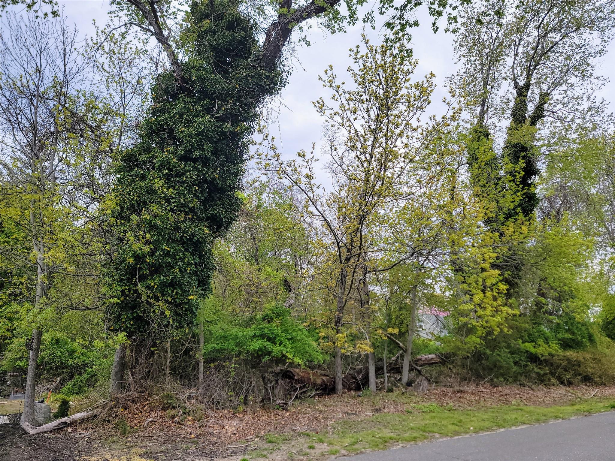 675 Pine Tree Road, Cutchogue, NY 11935