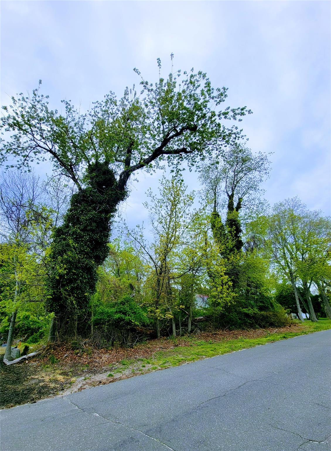 675 Pine Tree Road, Cutchogue, NY 11935