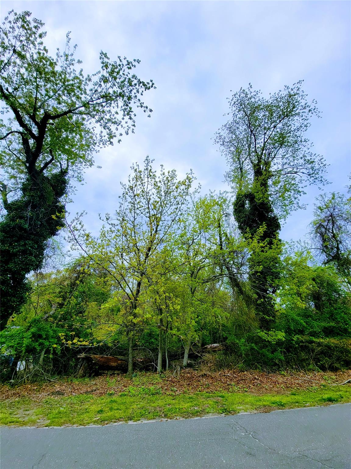 675 Pine Tree Road, Cutchogue, NY 11935