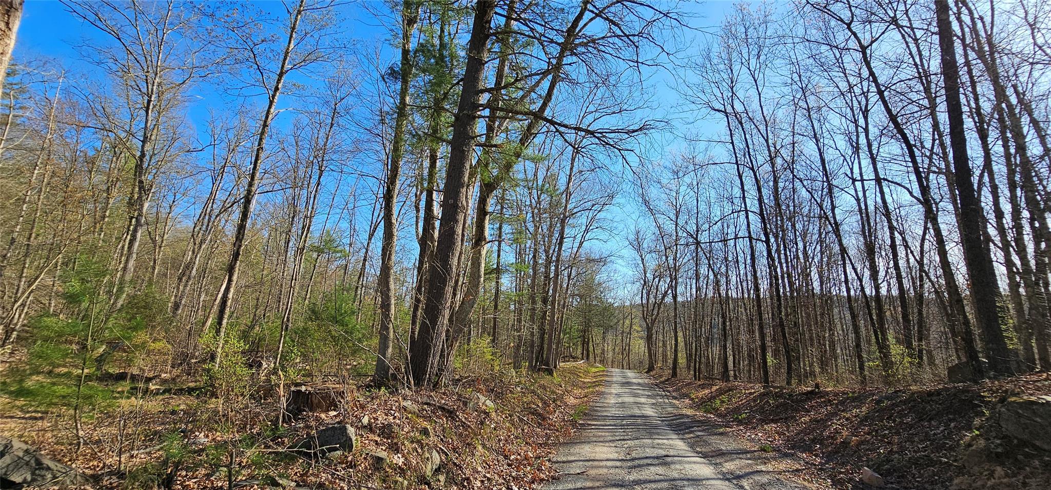 7297 State Route 97, Narrowsburg, NY 12764