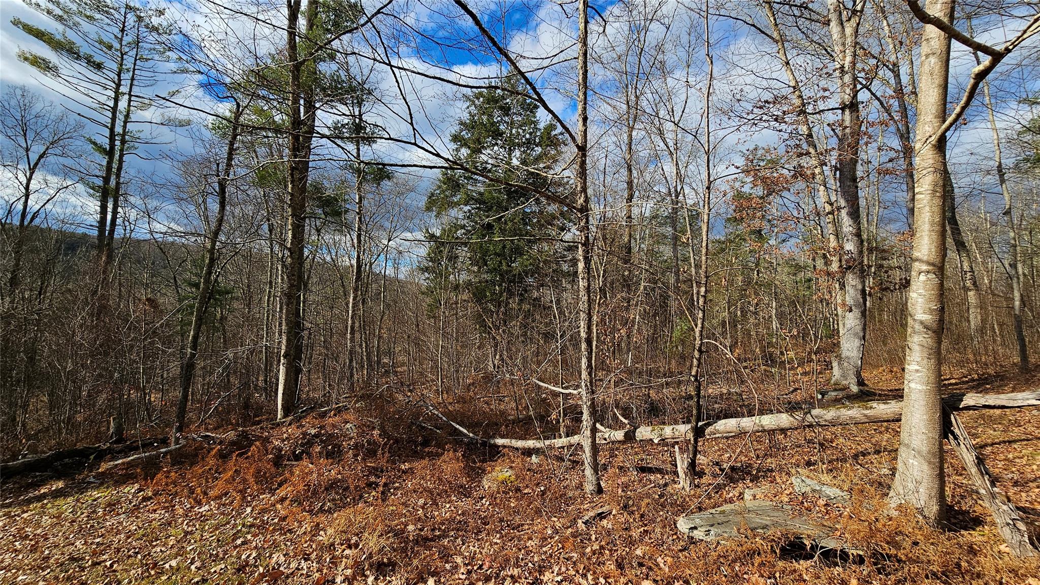 7297 State Route 97, Narrowsburg, NY 12764