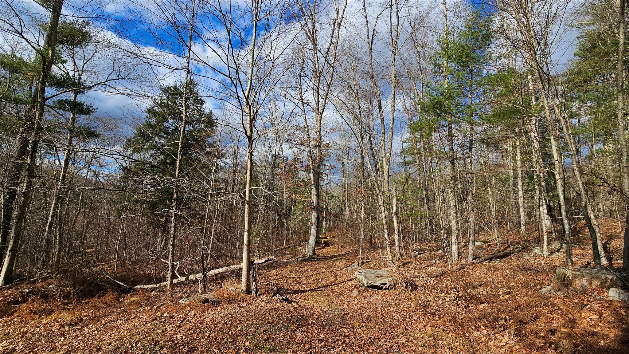 7297 State Route 97, Narrowsburg, NY 12764