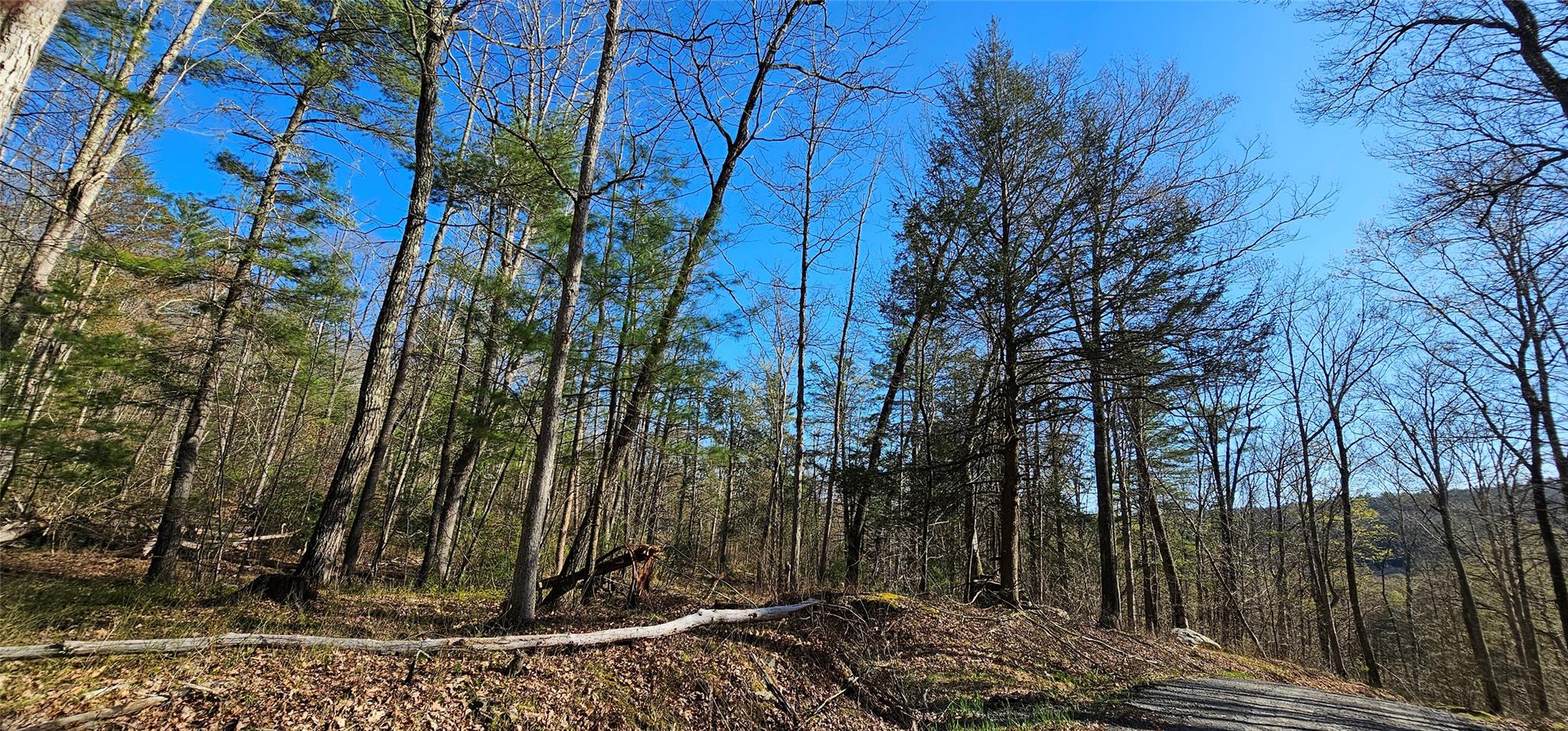 7297 State Route 97, Narrowsburg, NY 12764
